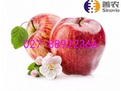 紅富士生鮮水果配送品質(zhì)水果，源自大自然的饋贈(zèng)