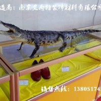 合肥展柜|合肥貨架|合肥柜臺(tái)|南京艾雨特裝飾材料