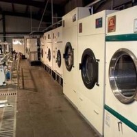 澳大利亞干洗店蘇老師13333247867同微信