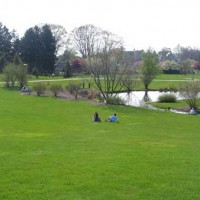 澳大利亞環(huán)境美化蘇老師13333247868同微信