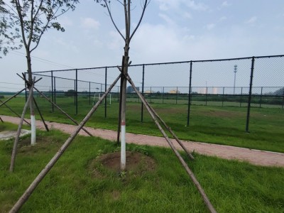 奉化社區(qū)球場圍網(wǎng) 籃球場圍網(wǎng) 足球場圍網(wǎng)定制安裝