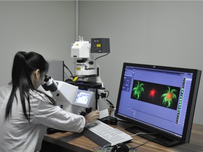 藝術(shù)材料和玩具TRA毒理性風險評估報告辦理