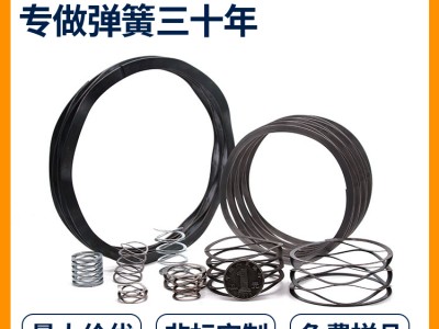 非標(biāo)定制廠家批發(fā)電機(jī)對頂波形彈簧圓線波形彈簧樣品
