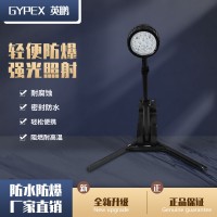 FW6117-LED防爆輕便移動(dòng)燈