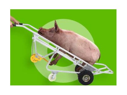 中小型養(yǎng)豬場(chǎng)簡(jiǎn)單拖運(yùn)死豬的車(chē)