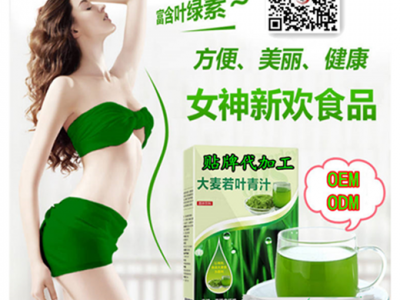 大麥若葉青汁粉 堿性代餐青汁粉 螞蟻青汁 農(nóng)場(chǎng)OEM食品