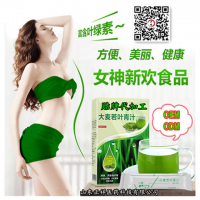 大麥若葉青汁粉 堿性代餐青汁粉 螞蟻青汁 農(nóng)場(chǎng)OEM食品