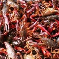 深圳廣州小龍蝦進(jìn)口清關(guān)所需單證小龍蝦進(jìn)口清關(guān)代理服務(wù)公司