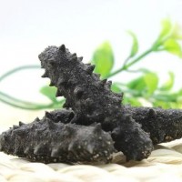 廣州佛山干海參進(jìn)口清關(guān)服務(wù)干海參進(jìn)口申報(bào)進(jìn)口清關(guān)代理報(bào)關(guān)公司