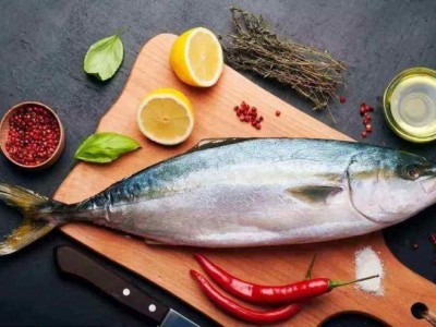 提供國外金槍魚進(jìn)口報(bào)關(guān)清關(guān)代理的服務(wù)