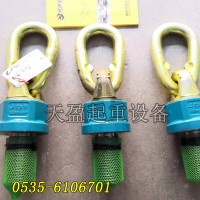 天津萬(wàn)向吊環(huán)公司推薦,天盈起重TP型德國(guó)JDT萬(wàn)向吊環(huán)