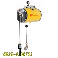 鷹潭EA型英格索蘭氣動(dòng)平衡器,航空制造用氣動(dòng)平衡器