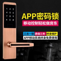 愛智達民宿密碼鎖 智能磁卡鎖感應(yīng)電子門鎖