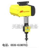 EIW132120智能電動(dòng)葫蘆,水泥制造廠用智能電動(dòng)葫蘆