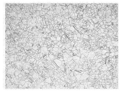 金屬材料力學(xué)性能檢測(cè)