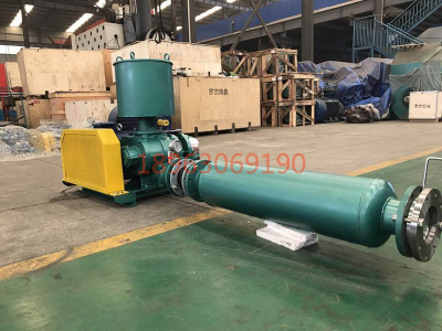 山東瑞拓羅茨風(fēng)機