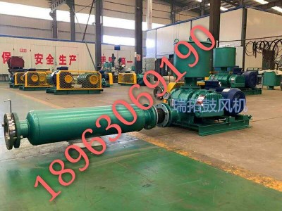 特殊氣體輸送羅茨風(fēng)機