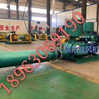 特殊氣體輸送羅茨風(fēng)機(jī)