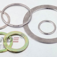 ZD-W1230纏繞墊片內(nèi)外環(huán)