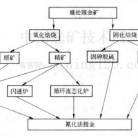 鞏義鉑思特從難選含碳金礦石中回收黃金，金礦石選冶工藝流程