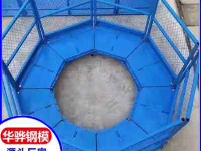 安徽池州市廠家直營(yíng)操作平臺(tái)料斗梯籠可定制