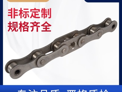 商用型自動(dòng)扶梯梯級(jí)鏈條 扶梯鏈廠家 環(huán)球鏈條