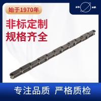 不銹鋼空心銷(xiāo)軸鏈條 環(huán)球鏈條 不銹鋼鏈條 非標(biāo)定制