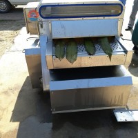 粽葉清洗設(shè)備 五香粽子粽葉清洗機(jī) 箬竹粽葉連續(xù)式清洗機(jī)