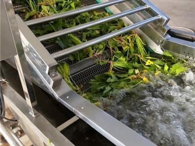 生蠔毛棍刷洗機(jī) 玉米辣椒大姜土豆毛刷清洗機(jī)