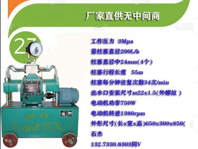 閥門電動(dòng)試壓泵