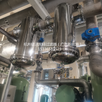 不銹鋼無(wú)硅過(guò)濾器AA0205F-SSC/SF