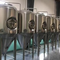定制精釀啤酒設備直銷廠家 5000升果啤精釀啤酒設備供應廠家