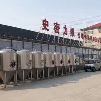 精釀啤酒設備生產廠家  河北定做大型精釀啤酒設備